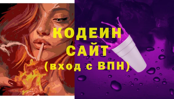 стафф Гатчина