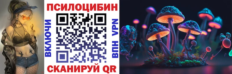 Псилоцибиновые грибы Cubensis  Ртищево 