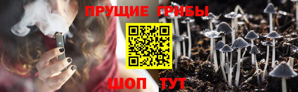 Псилоцибиновые грибы мухоморы  Вход с VPN  купить наркотики цена  Ртищево 